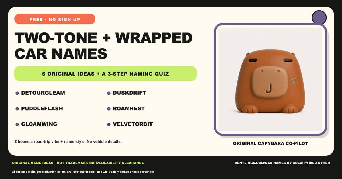 Names for two-tone, wrapped, iridescent, and hard-to-label cars. Original ideas paired with an original Capybara co-pilot